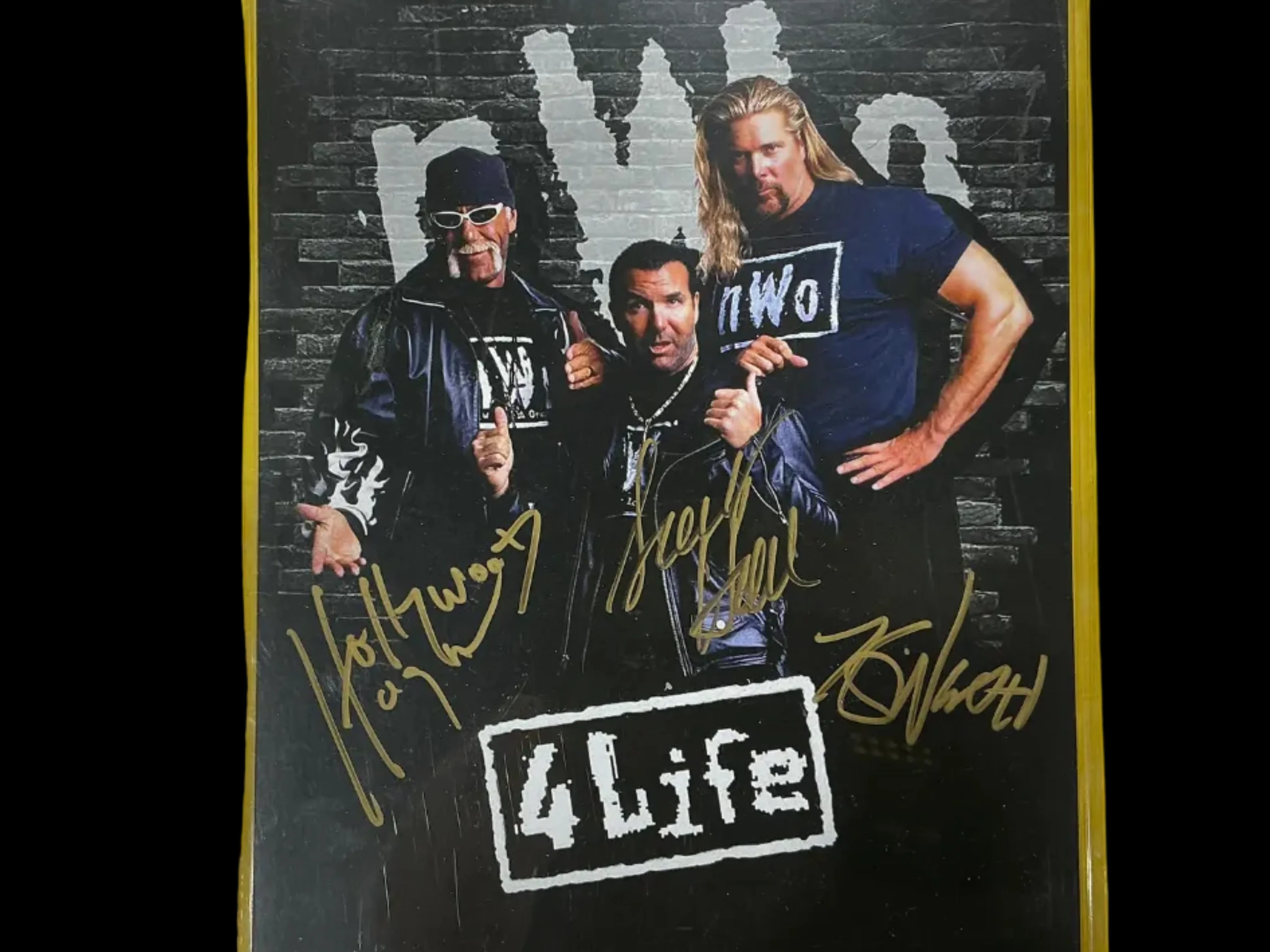 Consignment SR - NWO Hall Nash Hogan 8x10 Photo Signed Framed